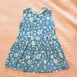 Winter Water Factory dress